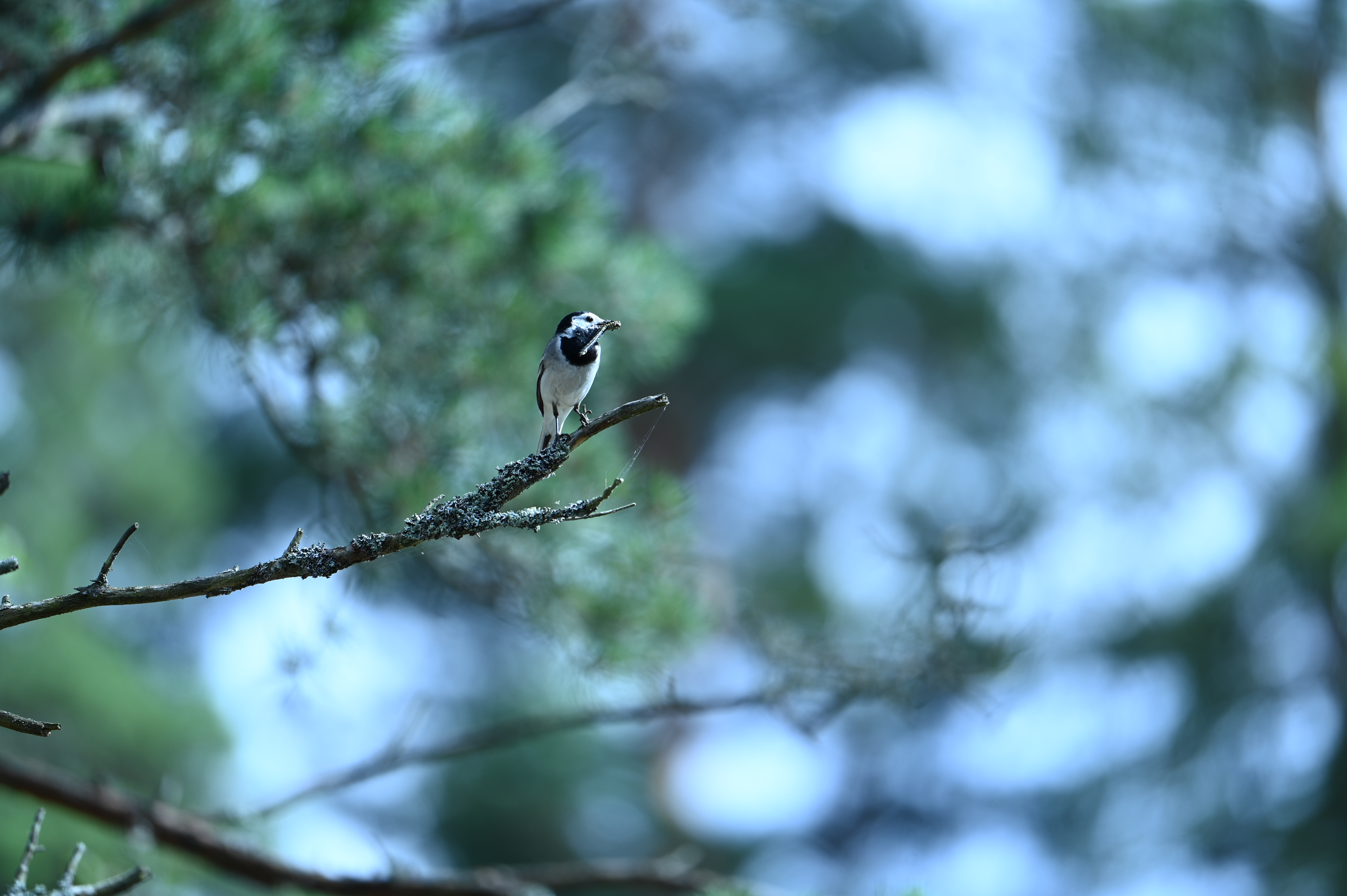 2025/07/09-14 - trip/DSC_0447.JPG